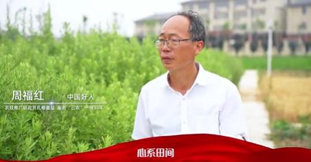 【滁州市道德模范公益廣告】周福紅：農技推廣研究員扎根基層 服務“三農”一線30年